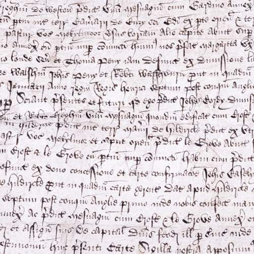 Original Antique 16th Century English Document Written in Latin image-3