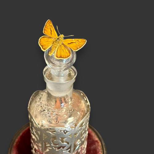 Decorative Antique Dome Display - Perfume Bottle image-3