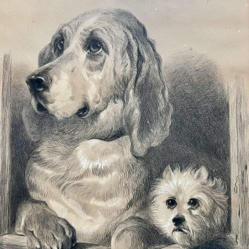Late 19th Century Pencil and Pastel Dog Portrait image-2