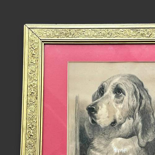 Late 19th Century Pencil and Pastel Dog Portrait image-5
