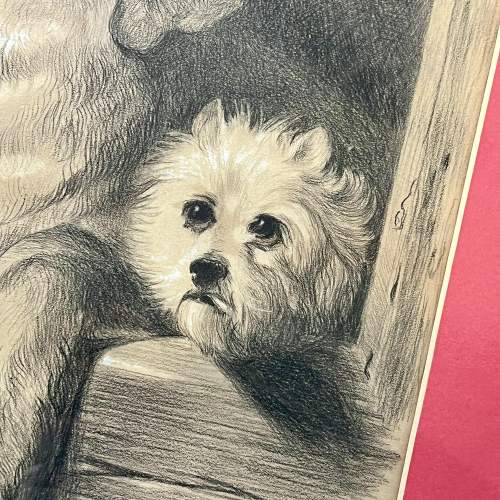 Late 19th Century Pencil and Pastel Dog Portrait image-4