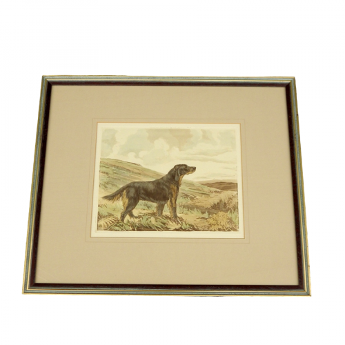 Hunting Dogs Set of Four 1930s Framed Prints image-2