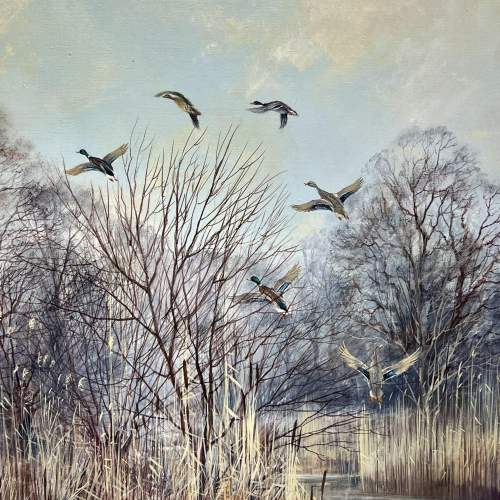 Mallards Over a Marsh Oil on Canvas by Colin Burns image-2