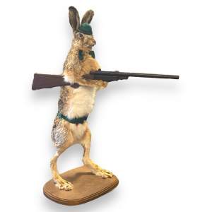 Anthropomorphic Taxidermy Hare Gone Hunting